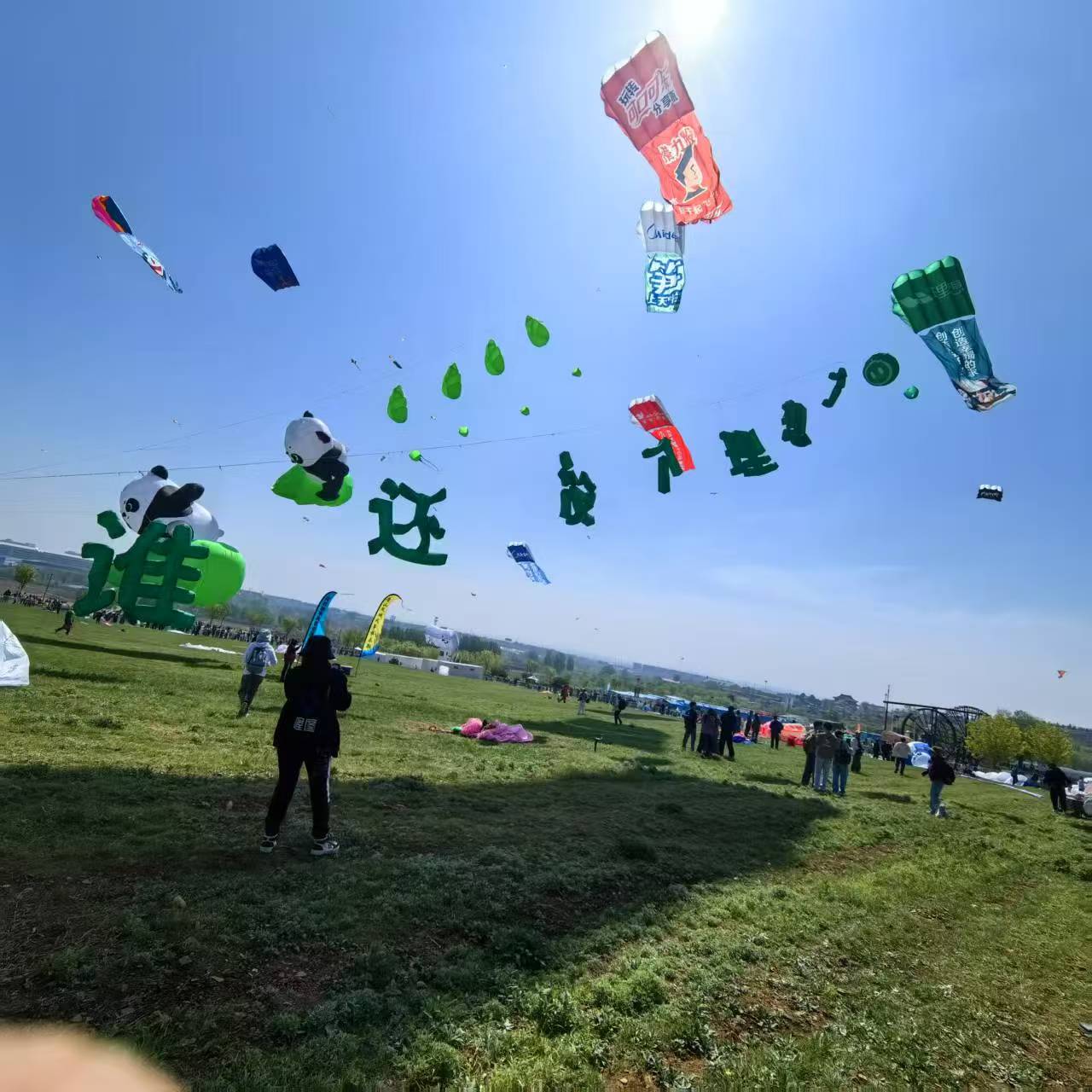 葫芦岛市风筝商业放飞风筝定制 - 哪里好
